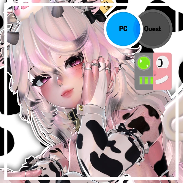 Eri (pc &amp; vrcft)