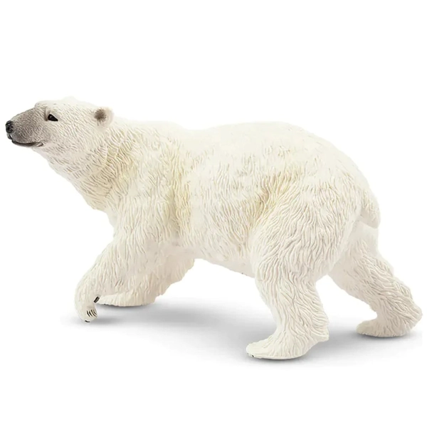 Toymany Polar Bear Male