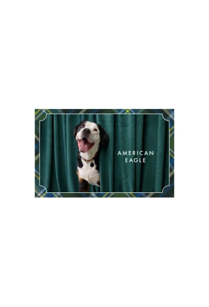 AE Holiday Dog Gift Card