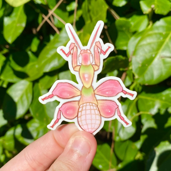 orchid mantis bug sticker