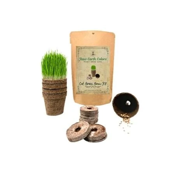 Cat Grass Kit for Indoor Cats
