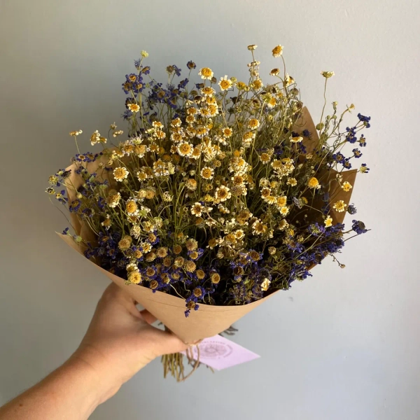 Swan River Daisy Bouquet: Native Australian Wildflowers, Naturally Dried & Locally Grown - Etsy Australia