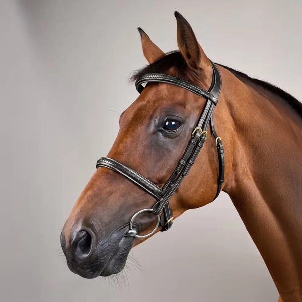 Plaited Noseband Bridle Without Flash | Dy'on | Durability
