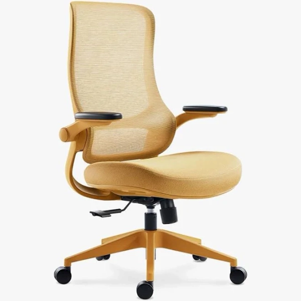 Ergonomic Office Chair