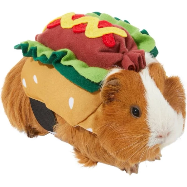 Frisco Hotdog Guinea Pig Costume