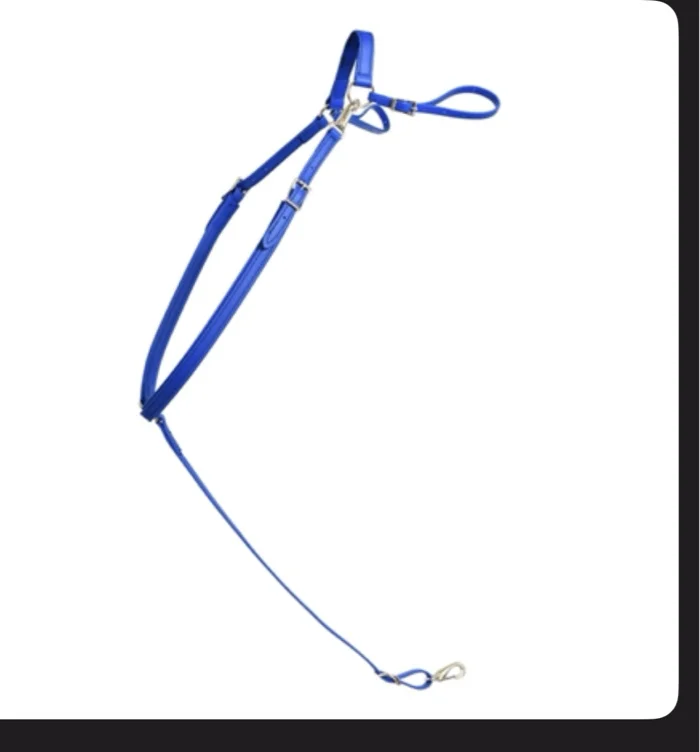 Brest color  for my horse 