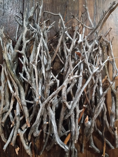 25 pcs Manzanita Branches 6-12 inch