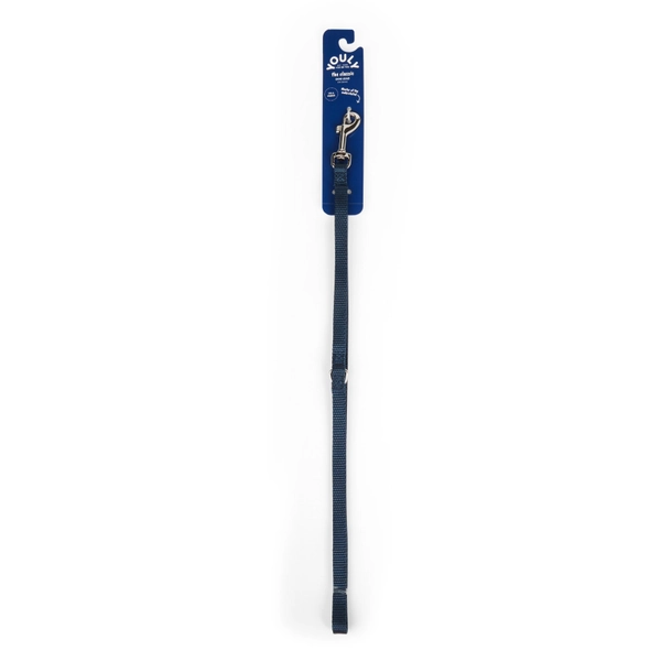 YOULY Nylon Dog Leash, Blue, 4-ft long, 1-in wide | Petco
