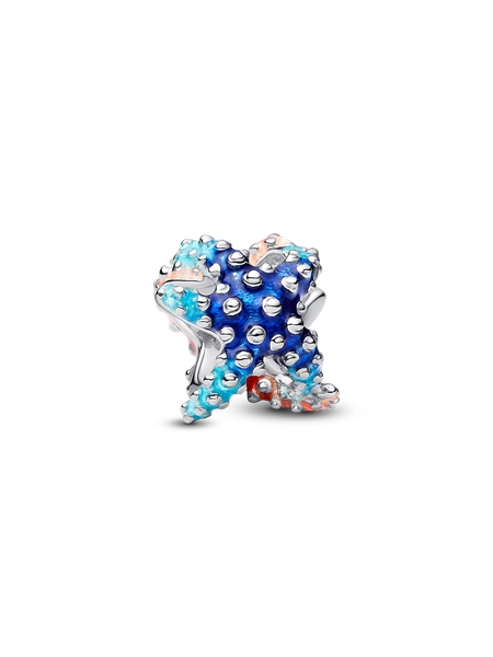 Charm Stella Marina Colorata