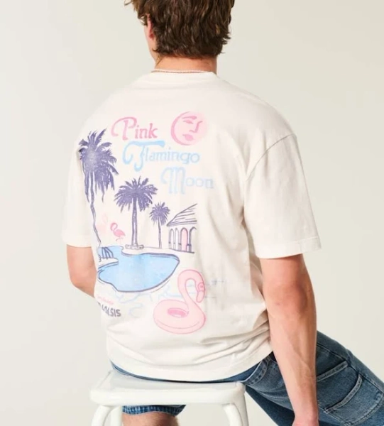 Hollister Men's Flamingo Moon Graphic Tee