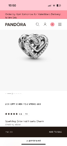 Sparkling Entwined Hearts Charm