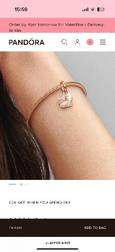 Pink Butterfly & Quote Double Dangle Charm