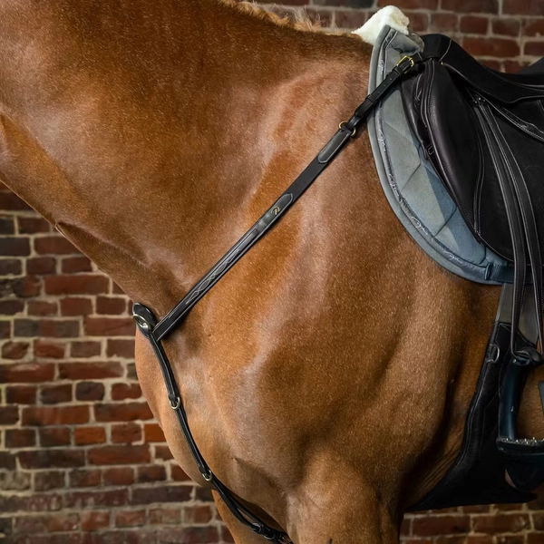 Breastplate | Dy'on | Versatile