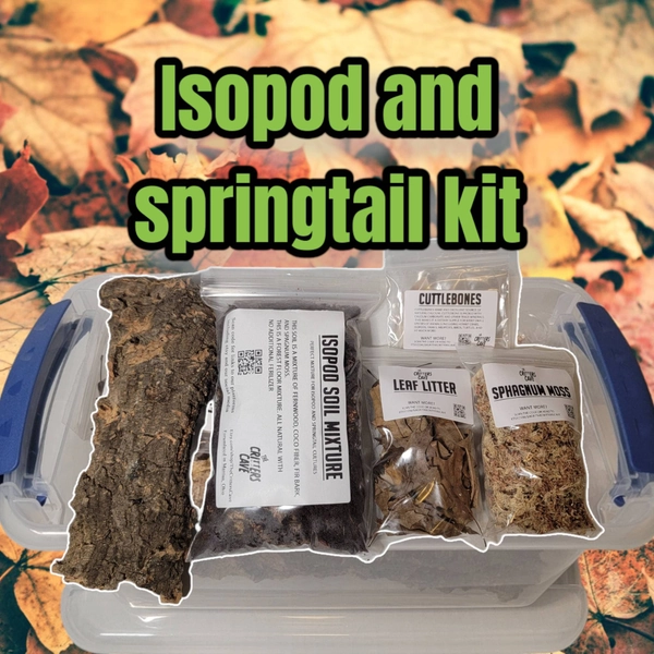 Isopod And Springtail Culture Starter Kit