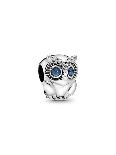Sparkling Owl Charm