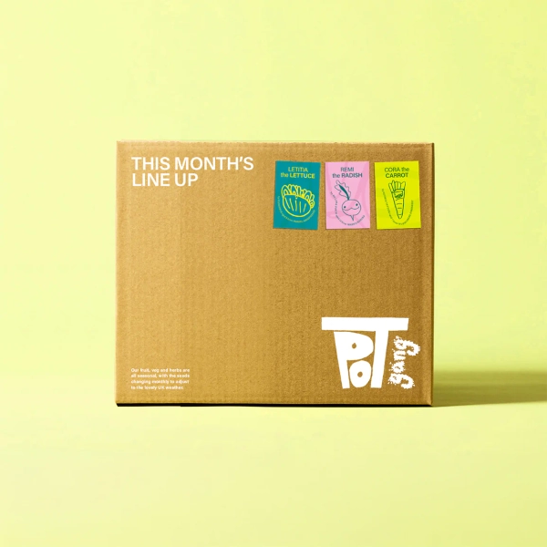 Fruit/Veg Seeds/Plants Always Welcome Or These Boxes Are So Cool!!