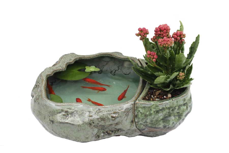 Premium 2-in-1 Aqua Planter Pot Bonsai Lotus Pot