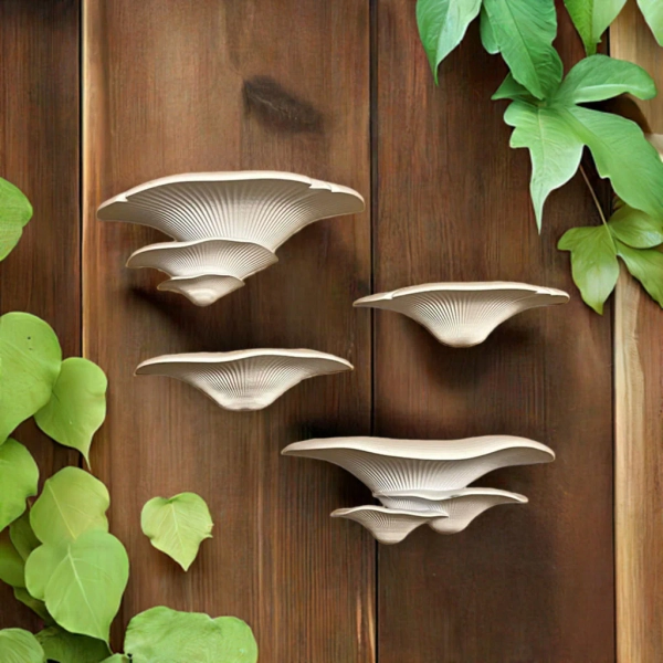 Mushroom Wall Shelf Mushroom Decor Storage Organization | Cute Mushroom Shelves | Whimsical Fairy Room Wall Art | Home Decor Shelf Display