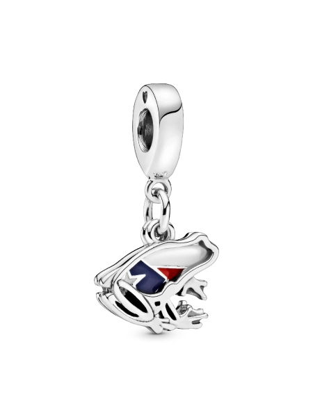 Puerto Rico Frog Dangle Charm