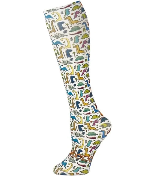 hocsocx inc Dinosaur Bash Socks