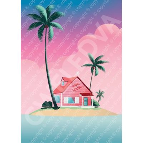 Kame House Dragon Ball Poster