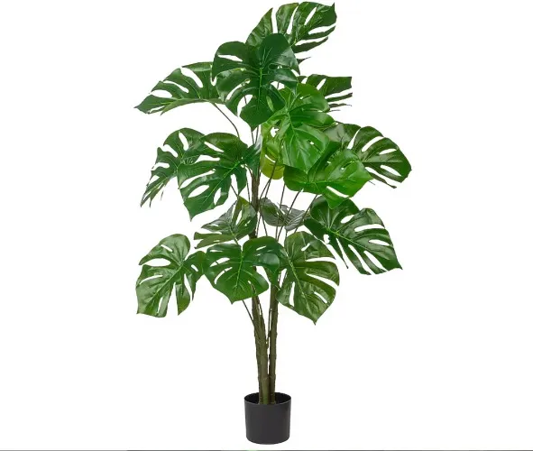 Monstera tree from lowes
