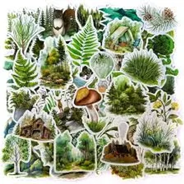 50PCS Forest Adventure Stickers Pack – Waterproof Vinyl Nature Stickers for Water Bottles, Laptops, Scrapbooks, Suitcases & Outdoor Travel Decor