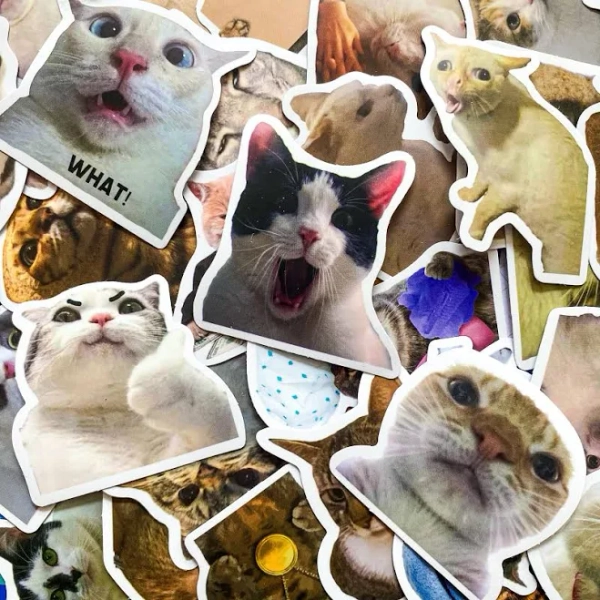 50PCS Funny Cat Meme Stickers Pack, Waterproof Vinyl Stickers, Animal Stickers for Laptop and Water Bottle, Funny Stickers for Cat Lovers