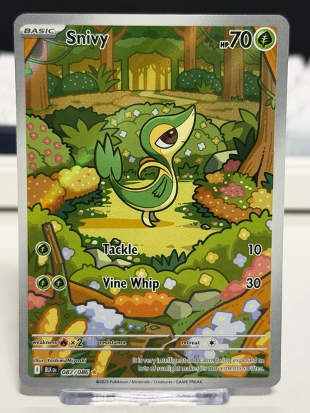 Pokémon TCG Snivy Black Bolt Illustration Rare 087/086 