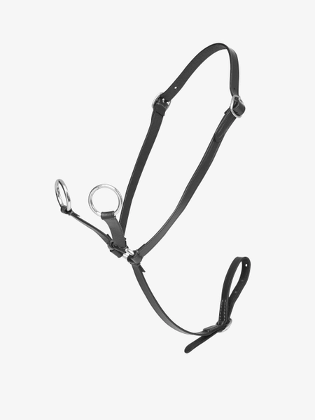 Toy Pony Martingale Black One Size