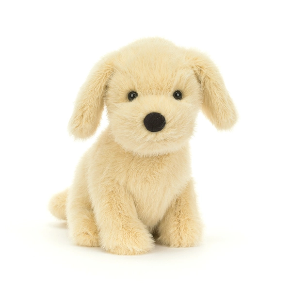 Golden Puppy