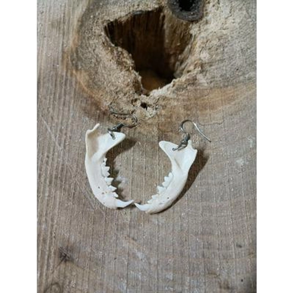 Bone earrings. Gothic earrings.