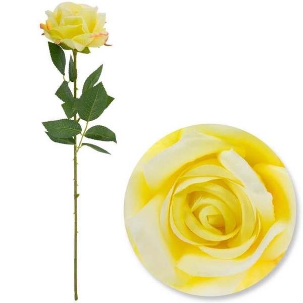 Individual Rose Stem