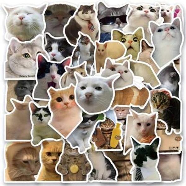 50pcs Whimsical Waterproof Vinyl Cat Stickers - Decorative Stickers For Water Bottle, Computer, Notebook, Luggage, Phone, Laptop, Bike, Skateboard - Fun DIY Accessories For Personalized Gifts