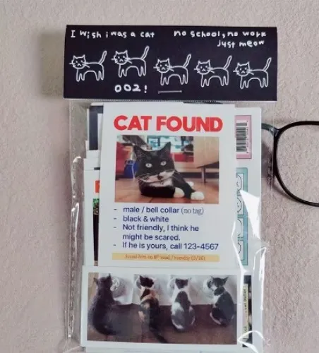 paquete pegatinas etiquetas temática gatos adorables - Temu Spain