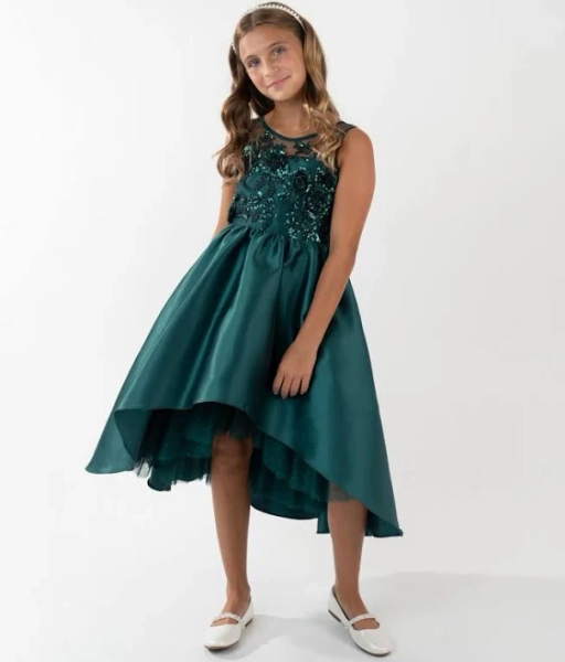 Rare Editions Girls Illusion Sleeveless Sequin Applique Dress