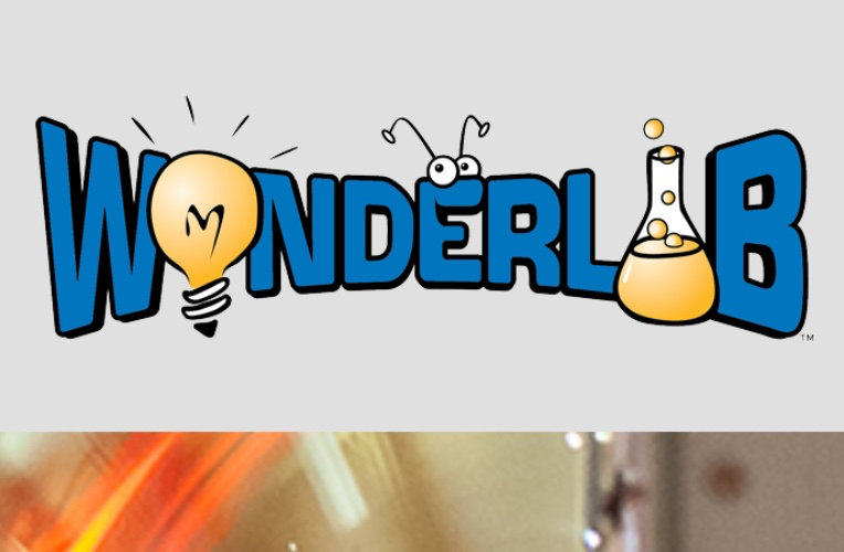 Dual Membership - WonderLab