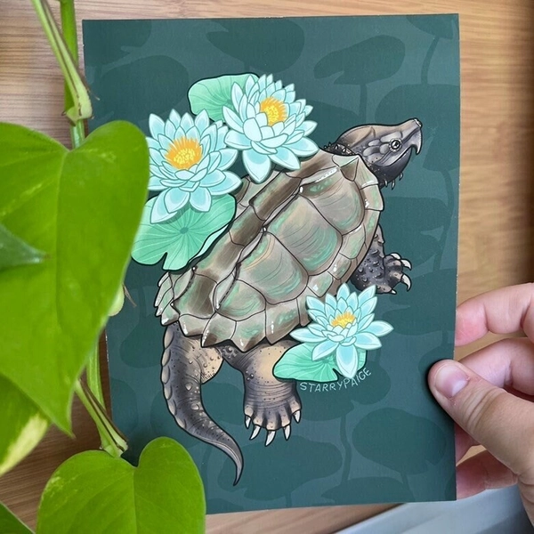 LE Alligator Snapping Turtle with Water Lilies GICLÉE Art Print