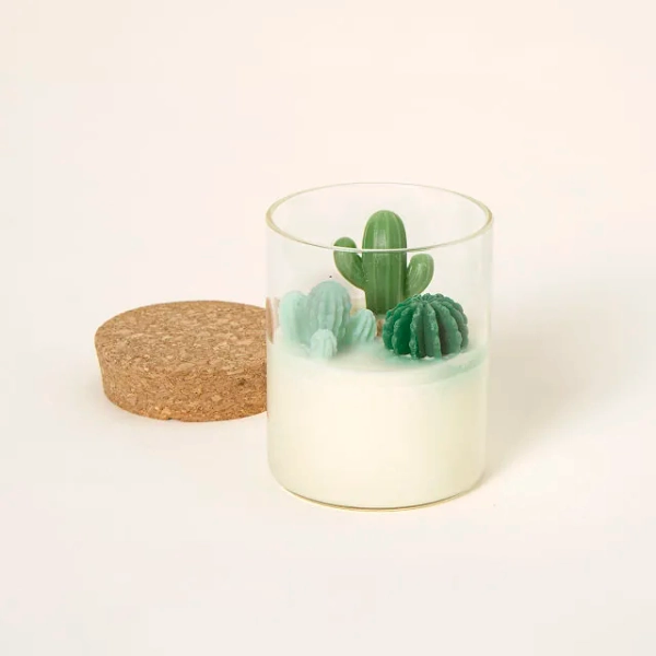 Standard - Cactus Terrarium (Pine & Vanilla)
