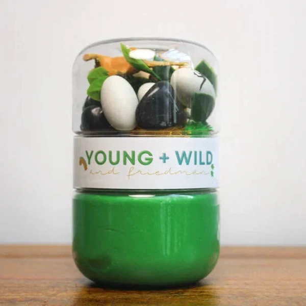 Young + Wild and Friedman Grab & Go Dough Jar Dinosaur