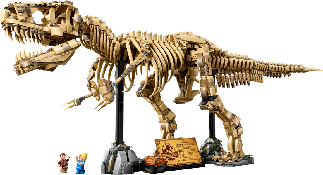 Dinosaur Fossils: Tyrannosaurus rex