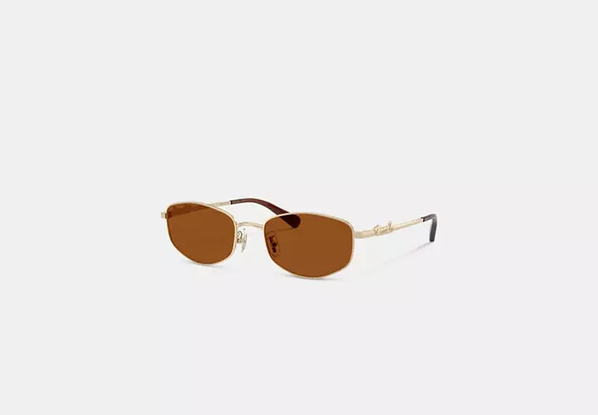 Brown/Gold Coach Script Metal Narrow Rectangle Sunglasses
