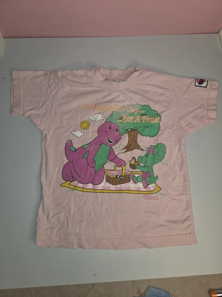 Vintage Barney Baby Bop Picnic Tshirt Kid Size 5 