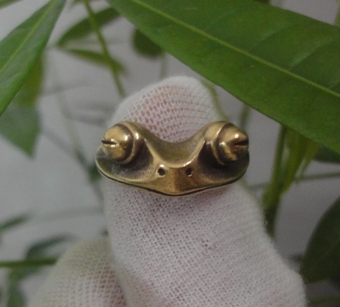 Brass Frog Ring: Adjustable Antiqued Toad Jewelry, Gift Box