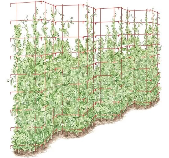 Gardener's Supply Company Tall Expandable Pea Trellis