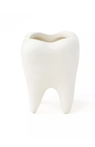 Tooth Molded Shot Glass - 2 oz. - Spencer's