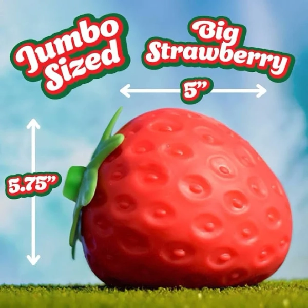 Fun Garden Squishy Strawberry Fidget Toy