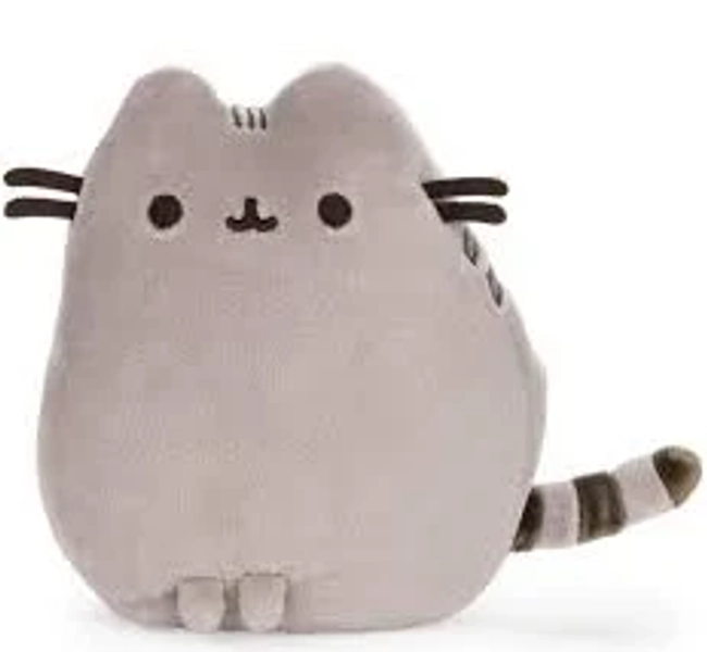 Spin Master Pusheen Plush Toy