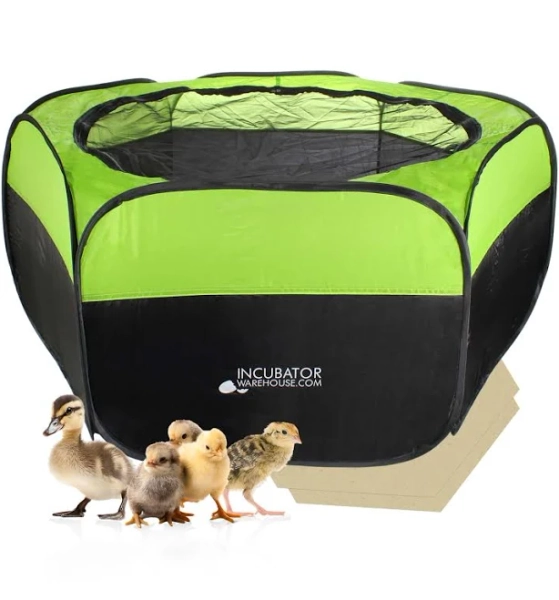 Insta Brooder Chick Brooder Pen – Enclosed & Portable