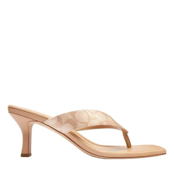 Coach Women's Kitten Heel in Signature Canvas